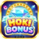Hoki APK icon download Android
